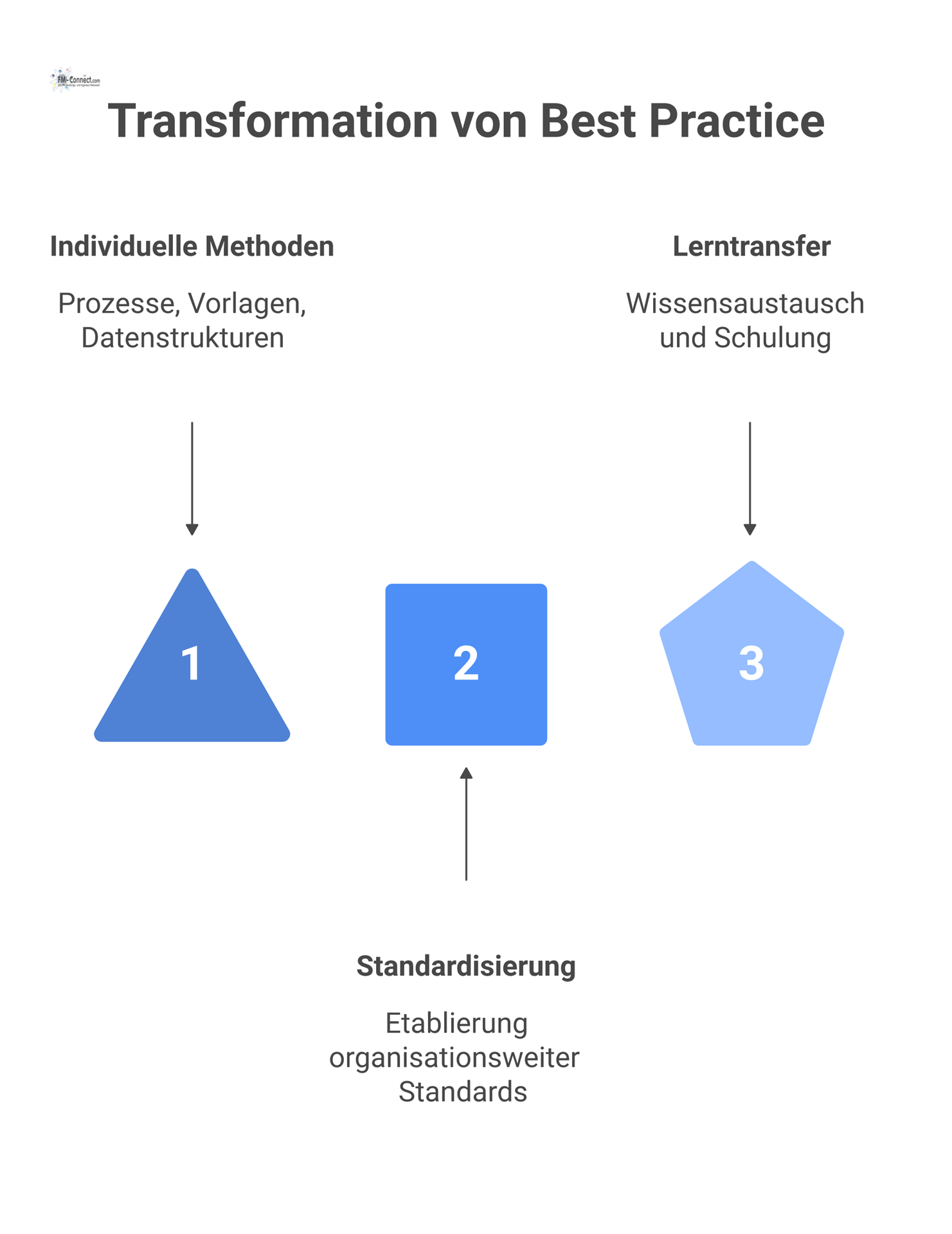 Infografik, die den Prozess darstellt, wie aus individuellen Methoden durch Standardisierung organisationsweite Standards für mehr Qualität und Reife werden.
