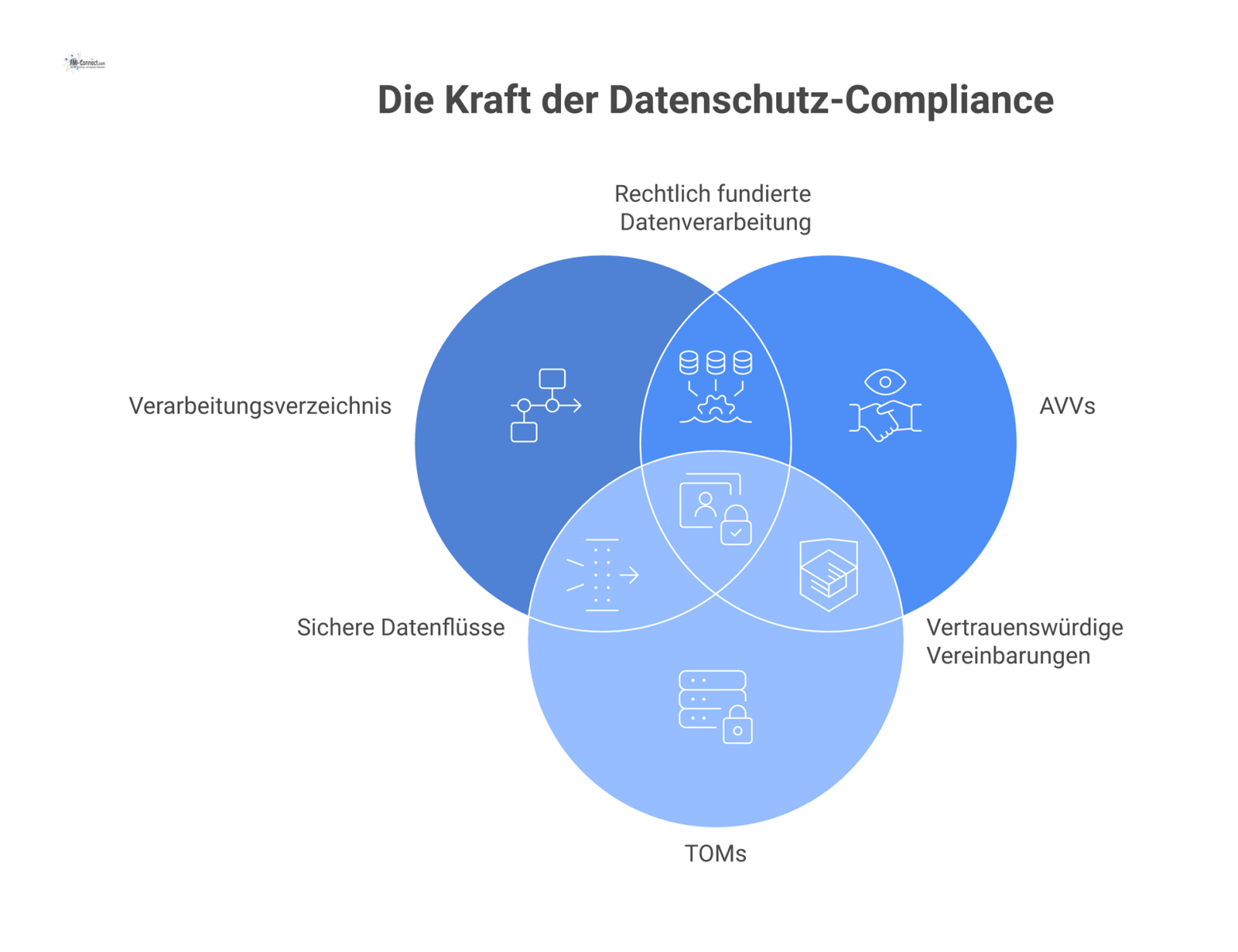 Infografik eines Schutzschilds für ein Datenschutzmanagementsystem. Pfeile zeigen auf die Bausteine: Verarbeitungsverzeichnis, AVVs, TOMs und Audit-Sicherheit. 