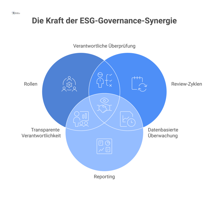 Infografik eines ESG-Governance-Frameworks. Im Zentrum steht die inhaltliche Steuerung, umgeben von den Säulen Rollen, Review-Zyklen und Reporting.